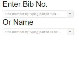 Bib Search